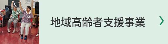 地域高齢者支援事業